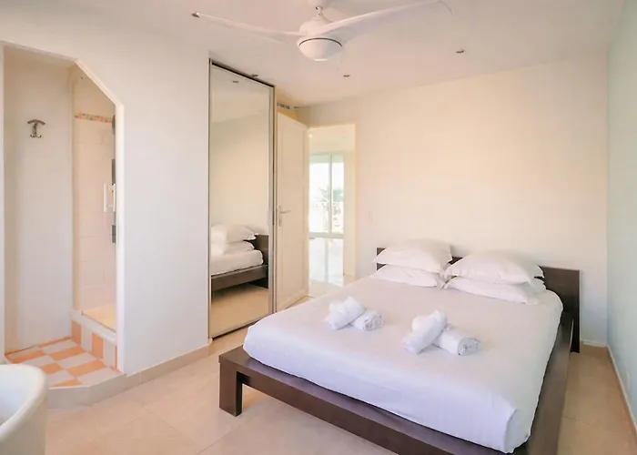 Superb Bright With Sea View Cannes